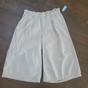 NWT Pilcro High Rise Paper bag Shorts Jeans 1X